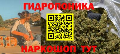 ПСИЛОЦИБИНОВЫЕ ГРИБЫ Кандалакша