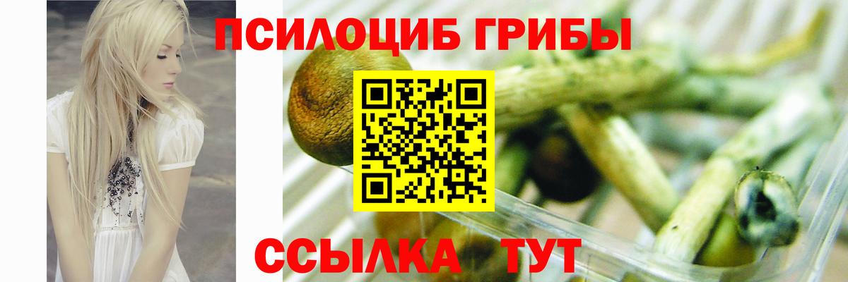 Истра  Псилоцибиновые грибы мицелий  наркота  Вход с VPN 