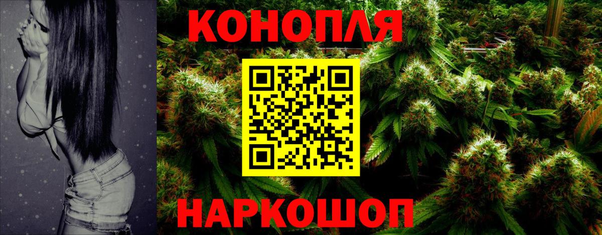 МАРИХУАНА план Истра